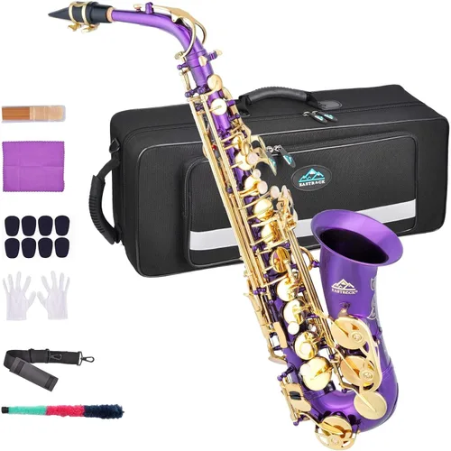 Vista 12 de EASTROCK Saxofón Alto Negro/Dorado Mi Bemol Kit Completo para Estudiantes Principiantes con Estuche de Transporte, Boquilla, Almohadillas Cojín