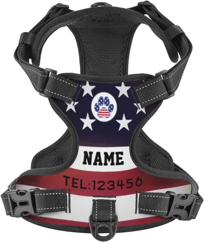 Vista 27 de Arnés personalizado para perro sin tirones, chaleco personalizado de hueso de perro con nombre de mascota, arnés reflectante ajustable personalizado