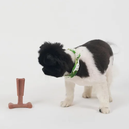 Vista 12 de SPOT Bam-Bones Plus T Bone - Juguete masticable de fibra de bambú y nailon para perros masticadores moderados a agresivos, duradero y sin astillas