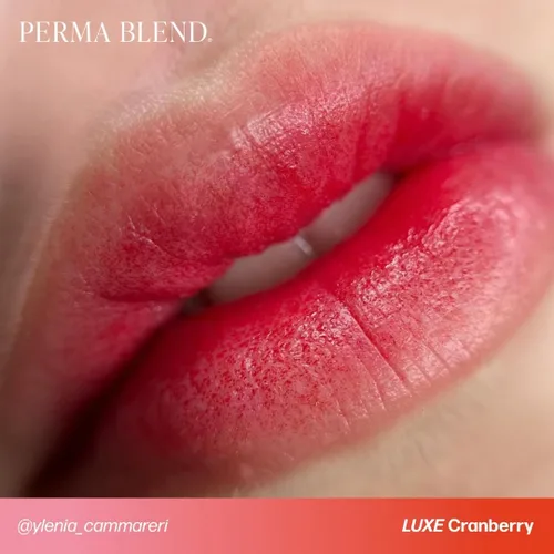 Vista 9 de Perma Blend Luxe Berry Lip Set – Juego de tinta de tatuaje rojo profundo – Kit de microblading de rubor labial – Suministros de tatuaje para PMU