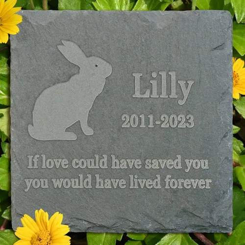 Vista 7 de Regalo de piedra conmemorativa para mascotas, lápida conmemorativa de jardín, marcador de tumba de toro, lápida de condolencia, regalo personalizado