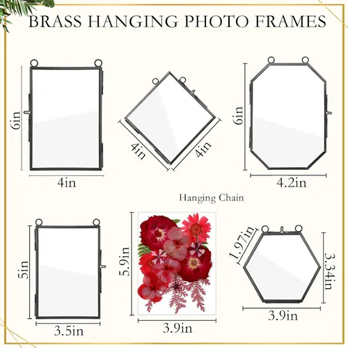Vista 2 de Bucherry Marco de vidrio para bricolaje, arte de flores prensadas, marco de fotos colgante de latón con cadena y 6 estilos de flores prensadas