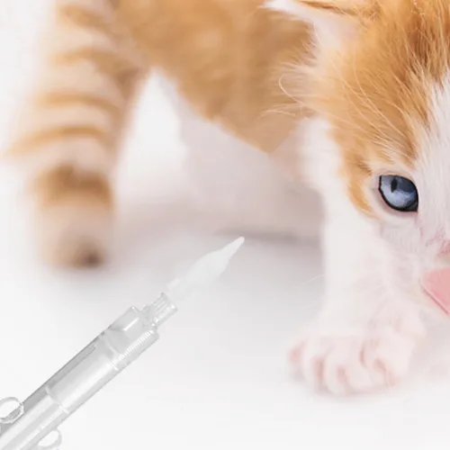 Vista 5 de Mikikit 20 pezones duraderos para gatitos y cachorros, para una fácil alimentación, para gatitos y cachorros recién nacidos, diseño portátil ligero