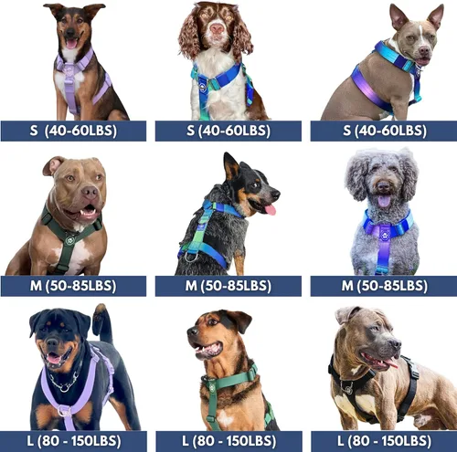 Vista 7 de Spark Paws Arnés para perro sin tirones con asa para perros grandes, arnés resistente para razas grandes y fuertes, ajustable, diseño halter