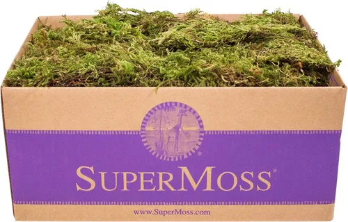 Vista 7 de SuperMoss (25320) Musgo de bosque preservado, fresco y verde, 2 oz