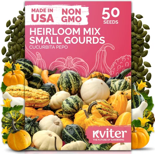 Vista 45 de KVITER 250 Marketmore - 76 semillas de pepino (Cucumis Sativus) – Rebanar semillas de pepino, sabor dulce, paquetes de semillas sin OMG – Semillas
