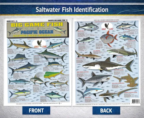 Vista 2 de Saltwater Fish Identification Chart #1 - Waterproof Quick Reference Fishing Guide - Species ID + Fishing Methods