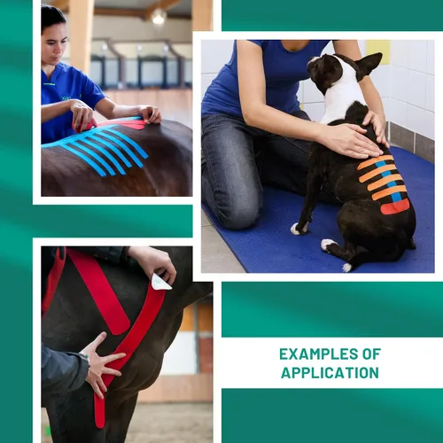 Vista 3 de VETKIN VetkinTape - Cinta de kinesiología canina y equina Cinta médica veterinaria Envoltura veterinaria para apoyo articular y cuidado de Negro