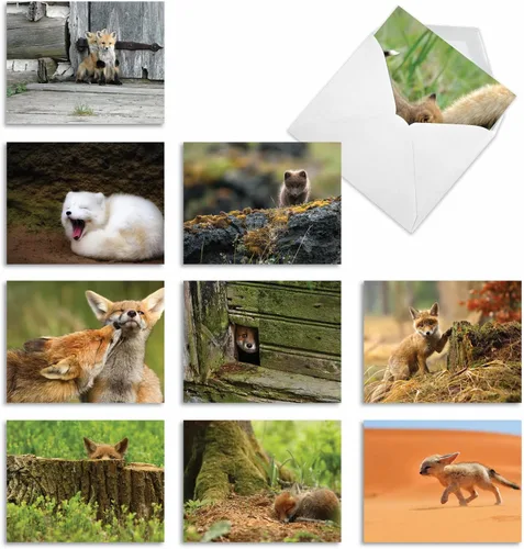 Vista 17 de The Best Card Company - Tarjetas de animales en blanco en caja, 4 x 5.12 pulgadas, mascotas surtidas, zoológico, tarjetas de vida silvestre