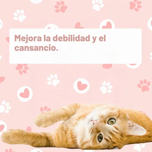 Vista 2 de LifeLink 's Zobaline para gatos 3 mg x 60 tabletas