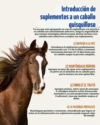 Vista 7 de Pennwoods Body Builder Compete Horse Suplemento de aumento de peso bolsa de 11 libras