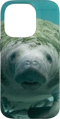Vista 17 de Manatee Case for iPhone 17