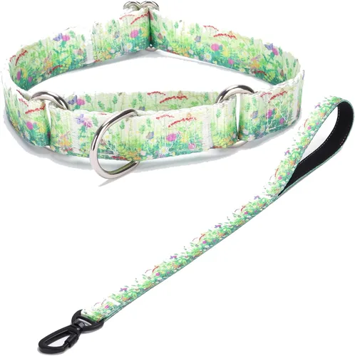 Vista 12 de Collar de perro de nailon resistente, collar ajustable de martingala para perros para caminar y entrenamiento para perros machos y hembras perros