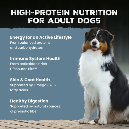 Vista 3 de Blue Buffalo Wilderness - Alimento seco natural con alto contenido proteínico y cereales saludables para perros adultos, salmón, bolsa de 4.5 libras