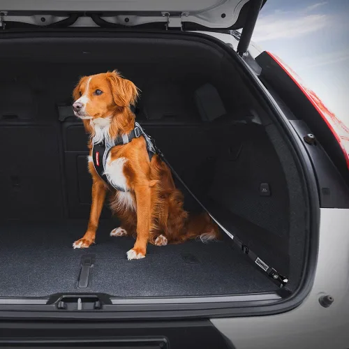 Vista 4 de EzyDog Click ISOFIX Standard – Cinturón de seguridad para perro – 17