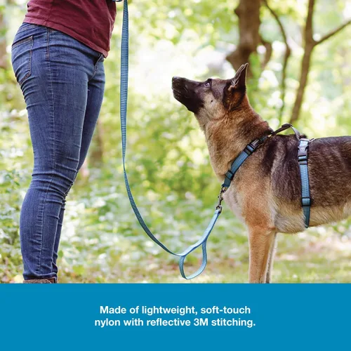Vista 5 de Blue-9 Correa reflectante para perro, correa ajustable multifunción de 6 pies con bucle de tráfico y costuras reflectantes 3M para obediencia