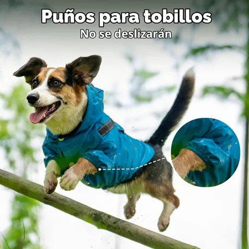 Vista 9 de JoyDaog Impermeable para perros con capucha, chaqueta impermeable para Azul