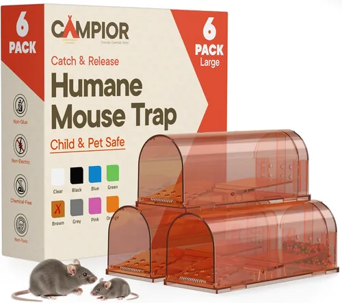 Vista 10 de Black Humane - Trampa para ratones, paquete de 6, trampas para ratones vivos para atrapar y liberar para interiores y exteriores, segura