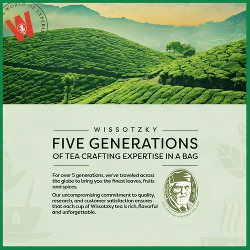 Vista 7 de Wissotzky Té verde menta Nana, 20 bolsas de té Rico en antioxidantes Bolsas de té de menta marroquí Té Nana revitalizante
