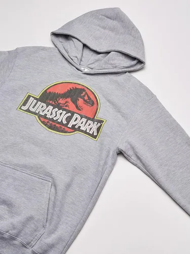 Vista 2 de Jurassic Park Sudadera con capucha para niños