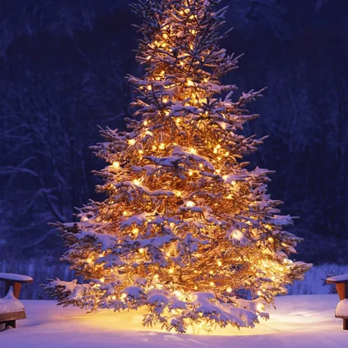 Vista 7 de FUNPENY - 50 luces LED de Navidad de 16 pies, tira de luces con 8 modos, luces impermeables para árbol en interiores y exteriores, patio, jardín