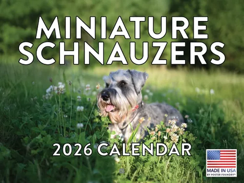 Vista 173 de Calendario mensual de pared Airedale Terrier Dog 2027 rojo (Airedale Terrier)