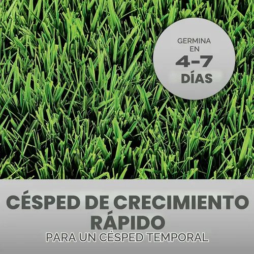 Vista 2 de Scotts Turf Builder - Mezcla rápida de semillas de césped, 3 libras. Césped de rápido crecimiento para un césped temporal, gema en 4-7 días