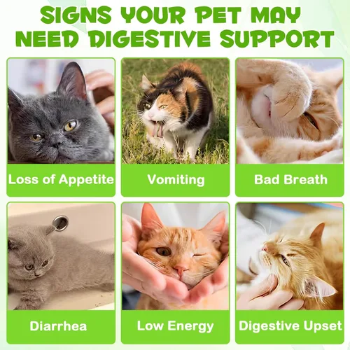 Vista 3 de Probióticos para gatos líquidos, probióticos para gatos, suplemento de probióticos 3 en 1 para gatos con enzimas prebióticas y digestivas Apoya