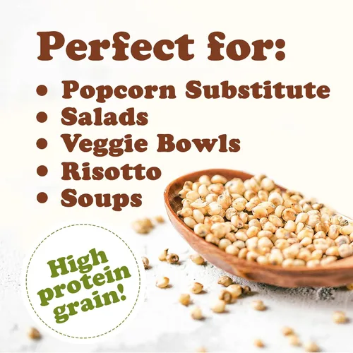 Vista 5 de Food to Live Sorgo blanco italiano de grano entero, 1 libra – Granos blancos de primera calidad. Semillas milo crudas. Vegano, Escoba de maíz a
