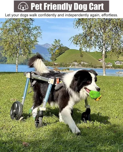 Vista 2 de Silla de ruedas para perros con patas traseras discapacitadas para caminar, silla de ruedas de aluminio para perros, soporte para silla de ruedas