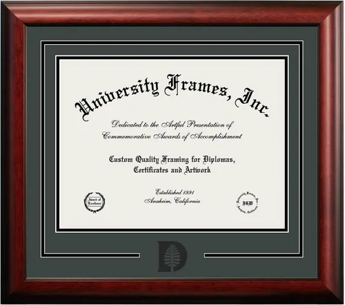 Vista 90 de Marco de Diploma Spirit NCAA