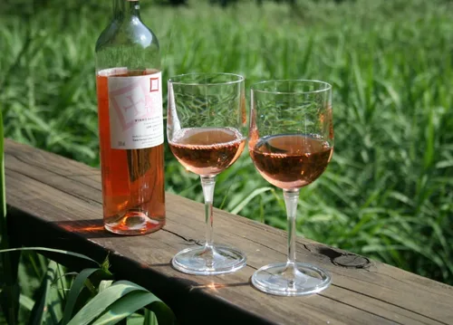 Vista 4 de BOSO Portable Collapsible Plastic Wine Glass (BPA Free) with a Safety Carrier 1pcs (Transparent)