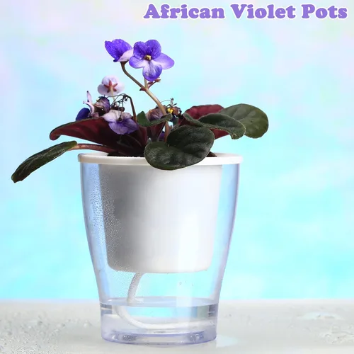 Vista 8 de Paquete de 8 macetas transparentes de 5.1 pulgadas de color violeta africano, tamaño mediano, macetas de plástico con mecha para plantas