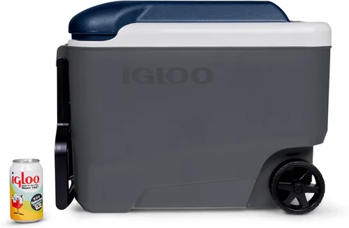 Vista 3 de IGLOO Maxcold