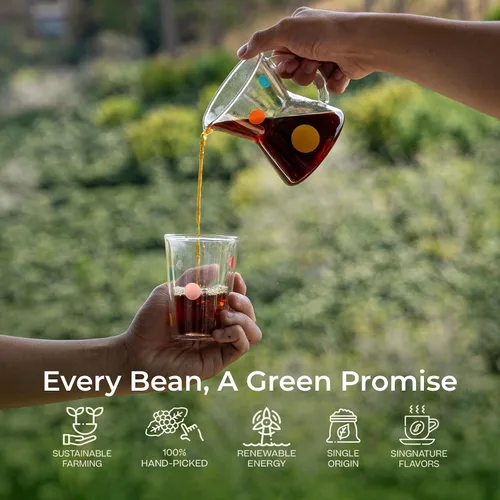 Vista 5 de Conihat Café de grano entero - 100% arábica vietnamita premium, tostado medio, notas afrutadas, caramelo y avellana, rico y suave, bajo en ácido