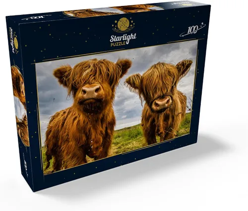 Vista 2 de MyPuzzle Two Highland Cows - Rompecabezas prémium de 100 piezas para adultos