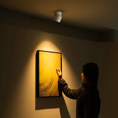 Vista 7 de Aisilan Luz LED de Techo Blanca para Interiores 9W Luminaria Montada en Superficie con Foco Giratorio de 360°, Regulable Blanco Cálido 3000K CRI 97+