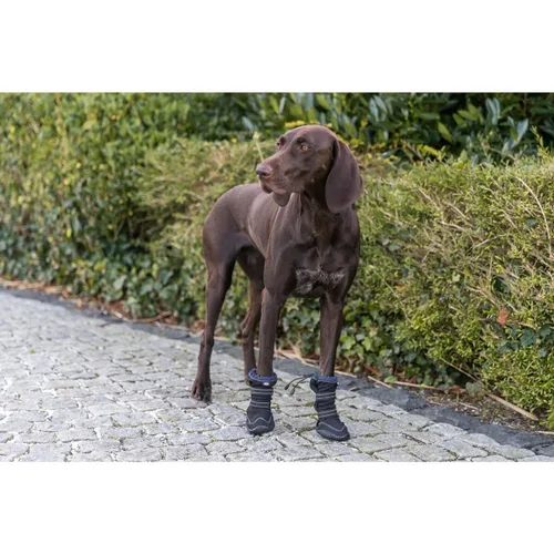 Vista 16 de Zapatos para perros Trixie 19410 Negro