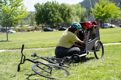 Vista 8 de Burley Honey Bee, remolque y cochecito de bicicleta para niños de 2 asientos
