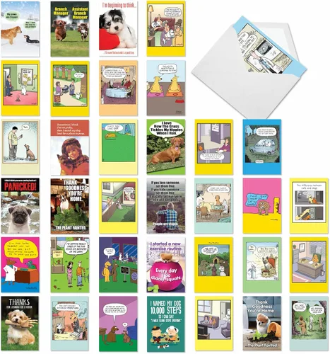 Vista 9 de NobleWorks - Caja de 36 tarjetas de felicitación en blanco divertidas surtidas con sobres, paquete variado de humor mixto - Amistad para hombres