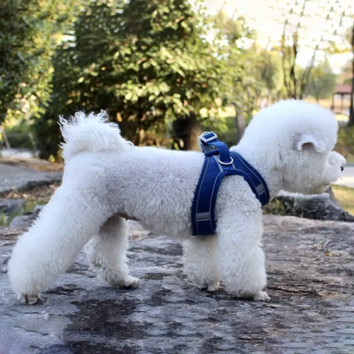 Vista 6 de Juego de arnés y correa para perro con correa para el pecho para mascotas, arnés reflectante ajustable para perros pequeños, medianos y gatos, azul