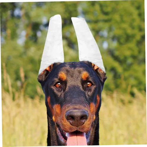 Vista 6 de 1 juego de varillas para orejas de perro, soporte duradero para orejas para razas Doberman, kit de accesorios para mascotas, fácil de usar, kit