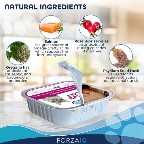 Vista 4 de Forza10 Alimento húmedo para gatos, sabor a pescado y salmón, alimento húmedo para gatos adultos con problemas gastrointestinales y digestivos