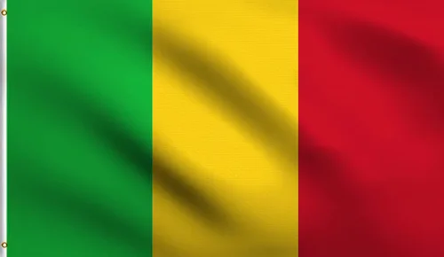 Vista 104 de DMSE - Bandera nacional beninesa beninesa de la República de África Occidental, 2 x 3 pies, 100 % poliéster, 100 % poliéster, resistente a los rayos