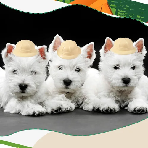 Vista 7 de Sratte Mini sombreros de safari en miniatura, explorador de la selva, sombrero de plástico para fiesta de safari, juguete para fiesta de aventuras