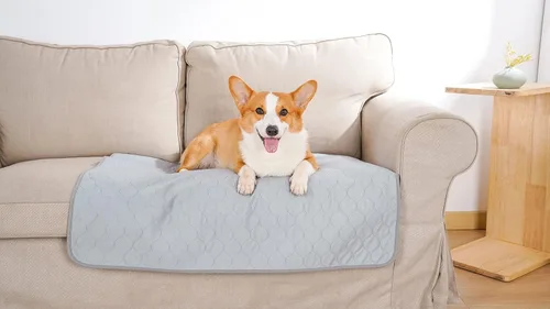 Vista 5 de Almohadillas lavables para orina de perro, acolchadas y reutilizables para perros, almohadillas de parto para cama de perro, alfombrillas
