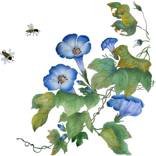 Vista 2 de Blue Morning Glory - Vid trepadora 300 semillas para plantar Hermosa vid en flor