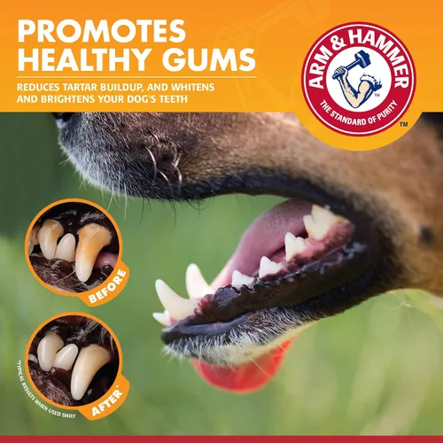 Vista 4 de Arm & Hammer for Pets Clinical Care Pasta de dientes enzimática para perros Alivia las encías inflamadas Pasta de dientes para perros