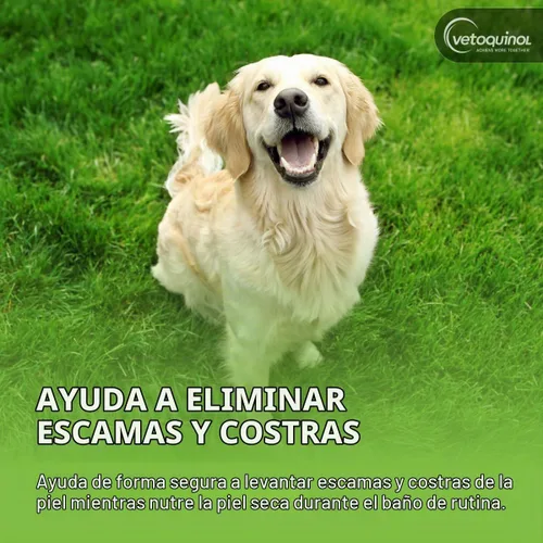 Vista 5 de Champú universal de azufre medicado Vetoquinol para perros y gatos, 1 galón