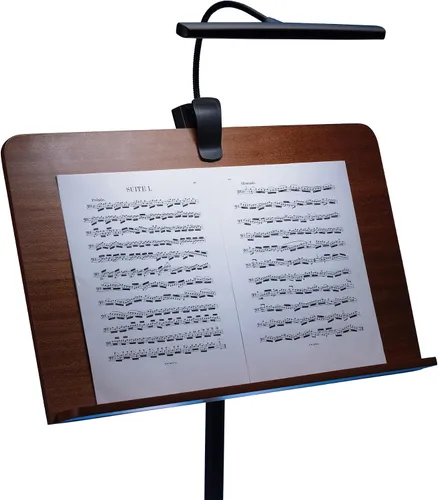 Vista 4 de Luz de orquesta recargable por USB LED518 en el escenario